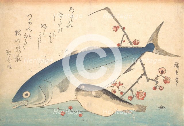Fugu and Inada Fish, from the series Uozukushi (Every Variety of Fish), 1840s., 1840s. Creator: Ando Hiroshige.