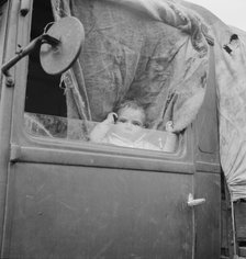 Baby from Mississippi parked in truck at FSA camp, Merrill, Oregon, 1939. Creator: Dorothea Lange.