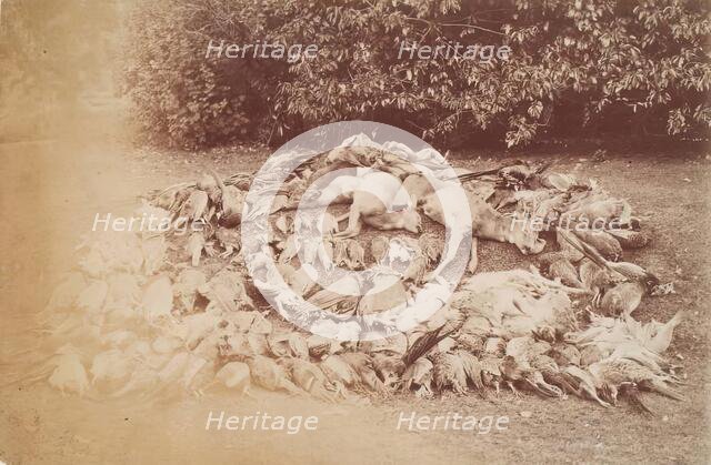 Dead Game, Perthshire, from an album compiled by Sir John Everett Millais. Creator: Unknown.