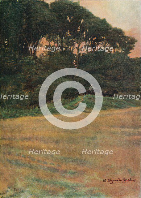 'A Study', c1900 (1903-1904). Artist: Sir William Reynolds-Stephens.