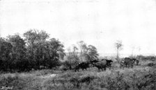 Pictures from the Royal Academy; April: Forenoon in the Condette Dunes - H. W. B. Davis, R.A., 1895. Creator: George Meisenbach.