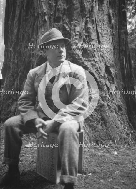 Bohemian Club Grove scene, between 1896 and 1942. Creator: Arnold Genthe.