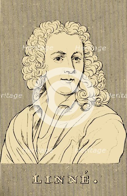 'Linne', (1707-1778), 1830. Creator: Unknown.