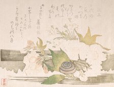 Cherry Blossoms and a Snail, 1816. Creator: Unknown.