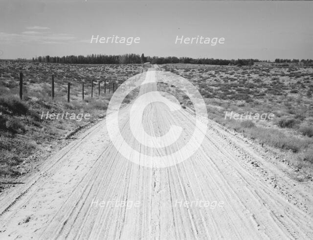 Road leading to small farm in northern Oregon, Irrigon, Morrow County, Oregon, 1939. Creator: Dorothea Lange.