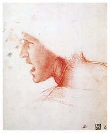 'Head of a man shouting in profile to the left', 1503-1504. Artist: Leonardo da Vinci