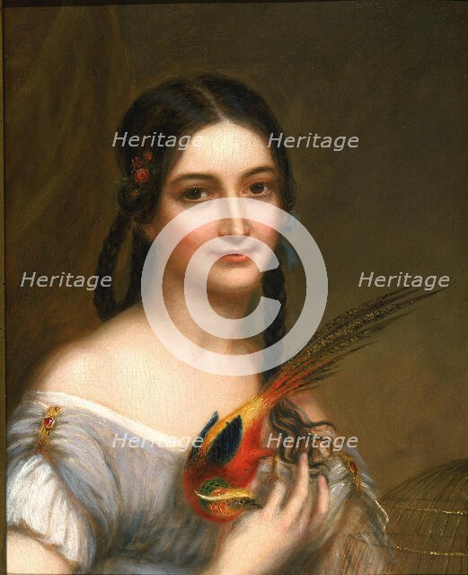 Miss Satterlee, ca. 1830-1839. Creator: Charles Bird King.