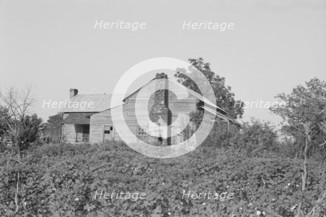 A sharecropper's buildings and fields, Hale County, Alabama, 1936. Creator: Walker Evans.
