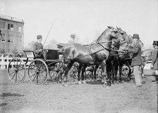 Horse Shows - Judging Team, 1911. Creator: Harris & Ewing.