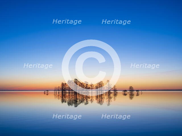 Anticipation. Creator: Eve Turek.