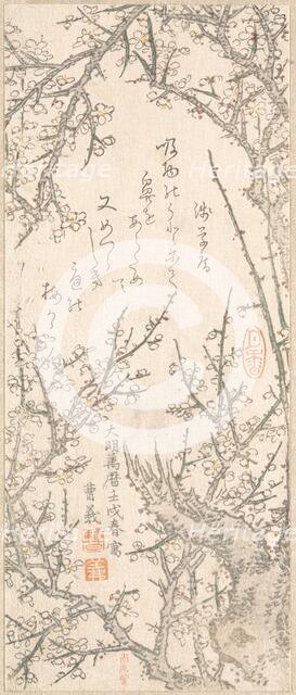 Plum Tree in Blossom, 1813. Creator: Kitao Shigemasa.