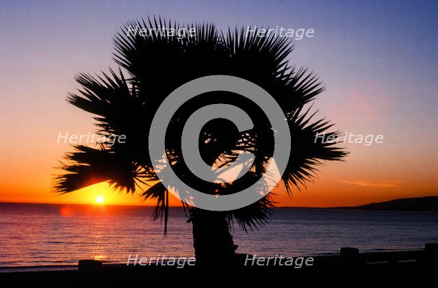 Last Sunset. Creator: Robert Manno.