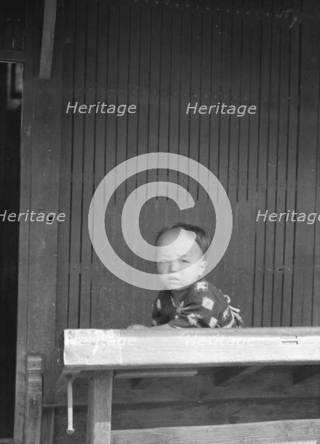 Travel views of Japan and Korea, 1908. Creator: Arnold Genthe.
