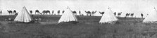 ''La Turquie Succombe; Le camel corps de l'armee britannique de Palestine; un camp dans..., 1918. Creator: Unknown.