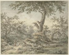 Forest landscape, 1756-1826. Creator: Cornelis Buys.