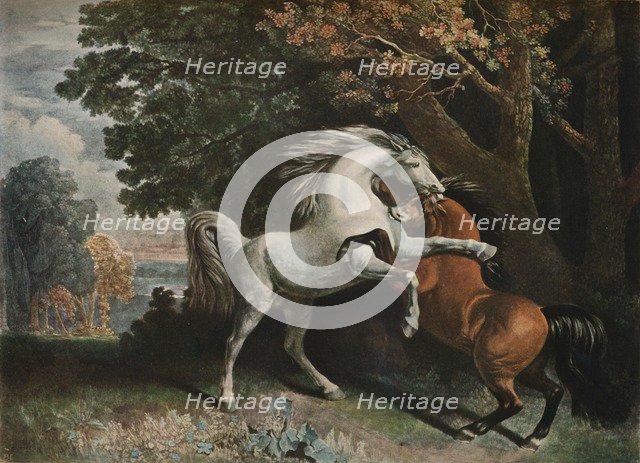 Horses Fighting, c18th century, (1902). Artist: George Townley Stubbs