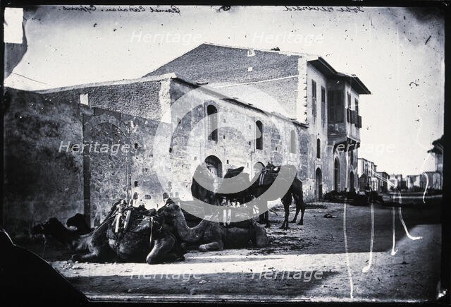 Cyprus, a camel caravan,  1981 (from a negative of 1878). Creator: John Thomson.