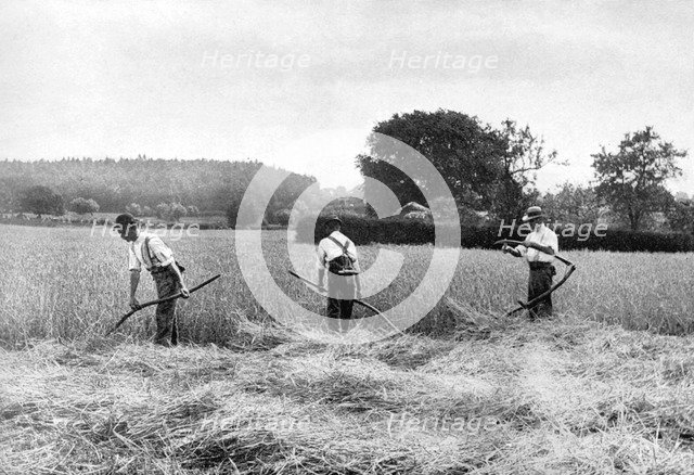 Harvesting hay, 1926. Artist: Unknown