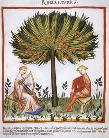 Date palm, 14th century.  Creator: Unknown.
