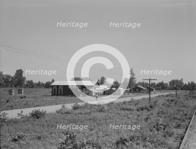 Approach to the Delta cooperative farm from highway, Hillhouse, Mississippi, 1937. Creator: Dorothea Lange.