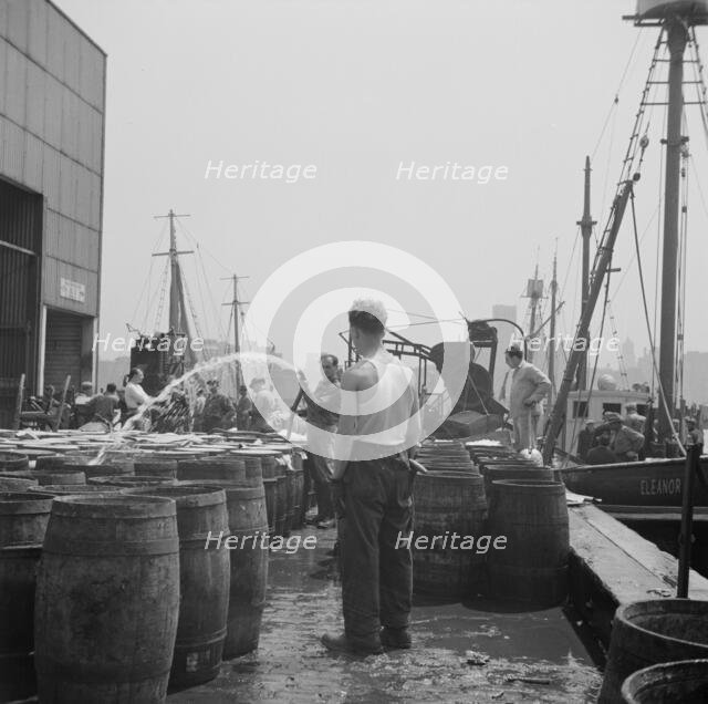 Watering fish at the Fulton fish market with brine water, New York, 1943. Creator: Gordon Parks.