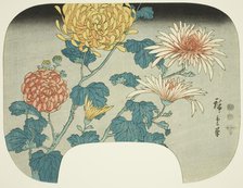 Chrysanthemums, c. 1840s. Creator: Ando Hiroshige.