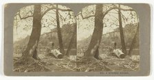 Man standing on a fallen tree, late 19th century.  Creator: London Stereoscopic & Photographic Co.