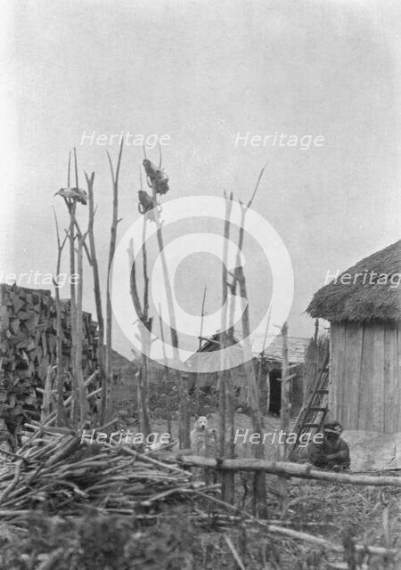 View of Ainu village with ceremonial poles, 1908. Creator: Arnold Genthe.