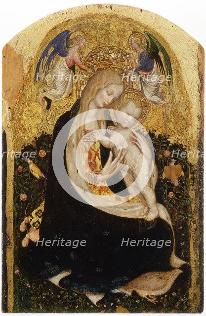 Madonna of the Quail (Madonna della Quaglia).