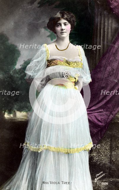 Viola Tree (1885-1938), English actress, 1906.Artist: Bassano Studio