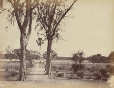 Garden in Indigo Districts, 1850s. Creator: Captain R. B. Hill.