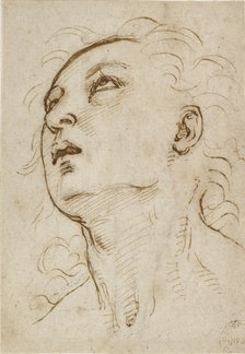 Head of a young Man gazing upwards, c1497-c1504. Artist: Raphael.