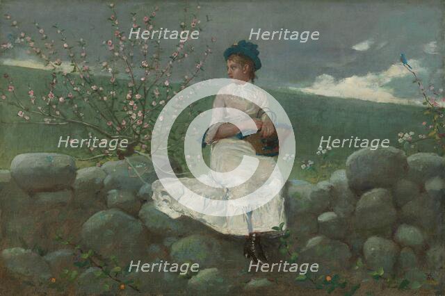 Peach Blossoms, 1878. Creator: Winslow Homer.
