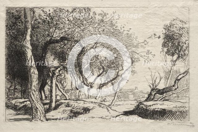 The Twisted Tree, 1915. Creator: Auguste Louis Lepère (French, 1849-1918).