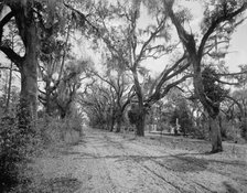 Bonaventure Cemetery, Savannah, Ga., between 1900 and 1906. Creator: William H. Jackson.