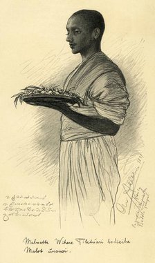 Buddhist monk, Ceylon, 1898. Creator: Christian Wilhelm Allers.