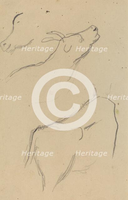 Studies of a Cow [verso], 1884-1888. Creator: Paul Gauguin.