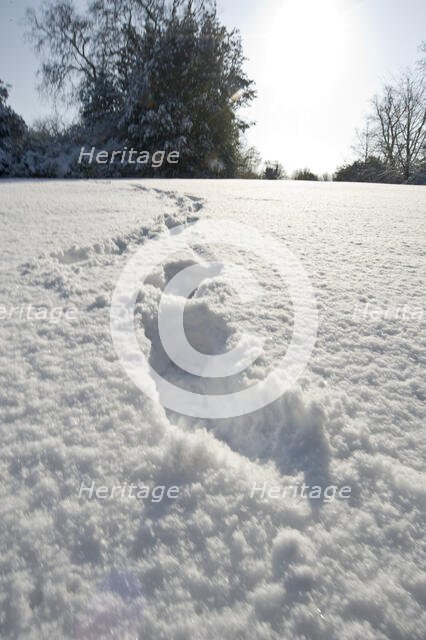 Eltham Palace, Court Yard, Eltham, Greenwich, London, 2009. Creator: Derek Kendall.
