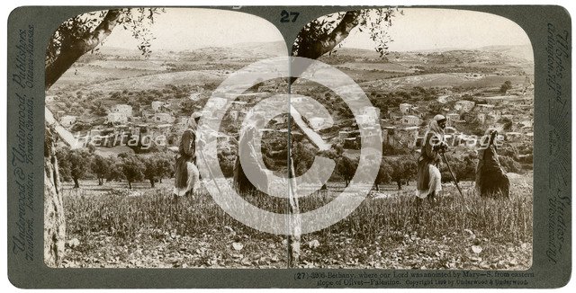 Bethany, as seen from the eastern slope of the Mount of Olives, Palestine, 1899.Artist: Underwood & Underwood
