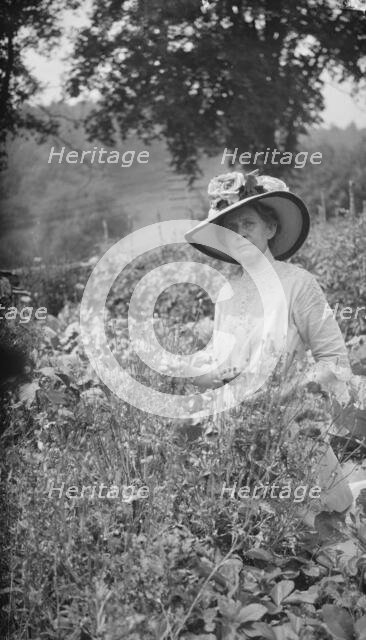 Tarbell, Ida, Miss, in her garden, 1912 or 1913. Creator: Arnold Genthe.
