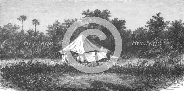 ''Sportsman's Tent in India; Notes on the Indian Wolf, "Canis Pallipes."', 1875. Creator: Charles Horne.