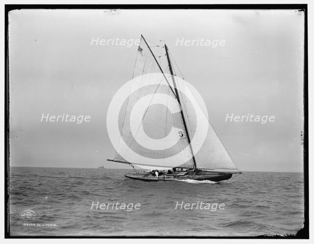 Illinois, c1901. Creator: Unknown.