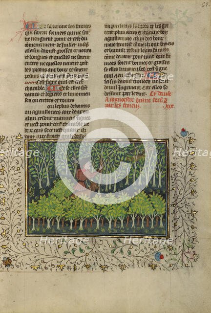 A Hunter and a Dog Examining a Deer's Fraying Place; Livre de la Chasse, about 1430-1440. Creator: Unknown.