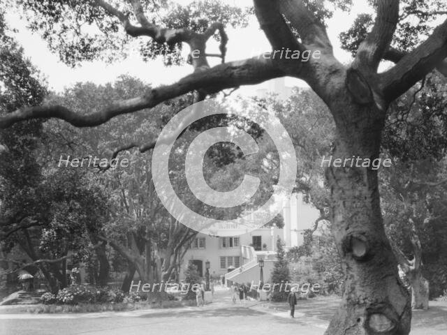 University of California at Berkeley views, 1927 Creator: Arnold Genthe.