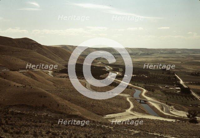 Cherry orchards and irrigation ditch, Emmett, Idaho, 1941. Creator: Russell Lee.