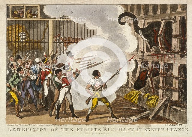 'Destruction of the furious elephant at Exeter Change', 1826. Artist: George Cruikshank