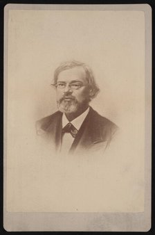 Portrait of Townend Glover (1813-1883), 1878. Creator: Samuel Montague Fassett.