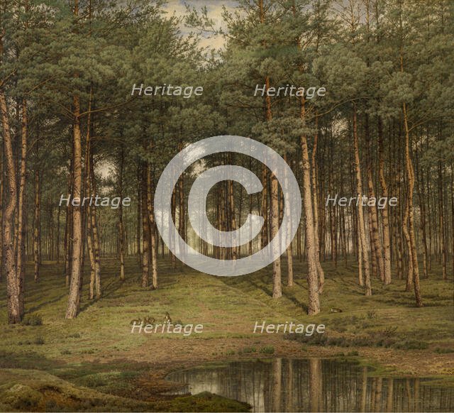 Fir Wood at Putte, 1883. Creator: Jean Pierre François Lamoriniere.