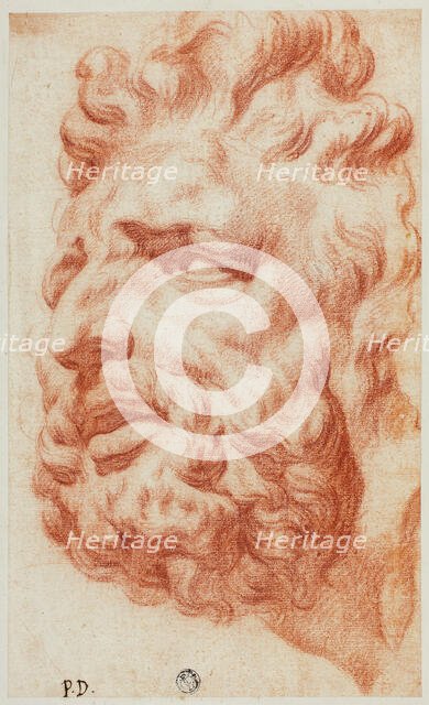 Head of Laocoon, n.d. Creator: Pietro Dandini.