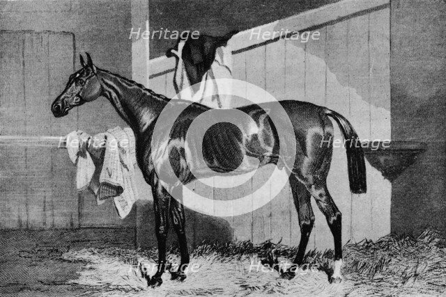 'Warlock', 19th century, (1911). Artist: Unknown.